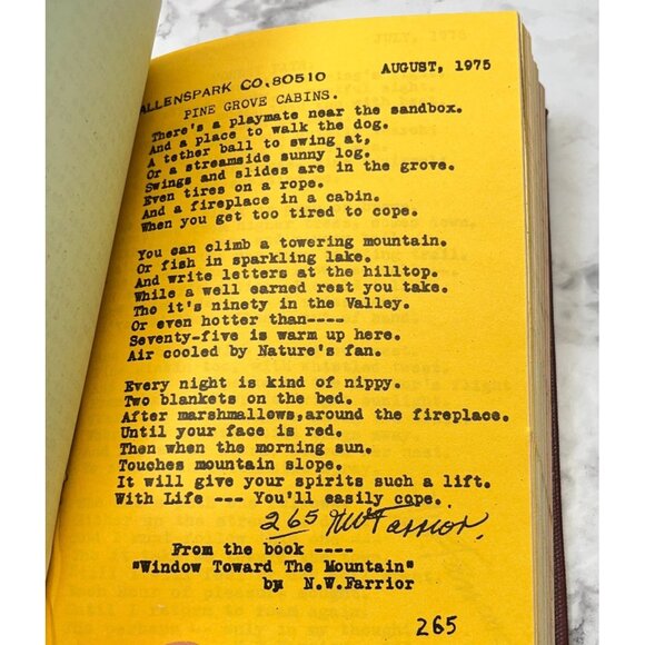 Window Toward The Mountain by N. W. Farrior Poetry Collection Poems Hardcover - Picture 8 of 11